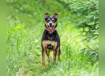 Ruhige Mulya sucht dich ...