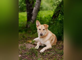 Ausgewogene Mona sucht Familie