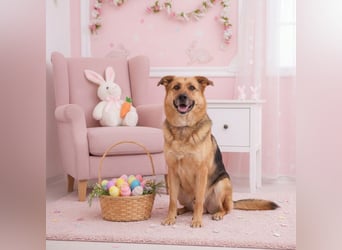 Zauberhafte Nadia sucht ihre menschen