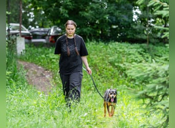 Ruhige Mulya sucht dich ...