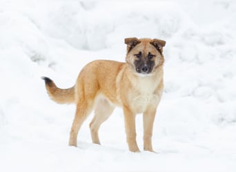 Zuckersüße Rada sucht liebe Familie
