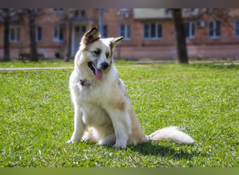 Sheila will liebe und Zuneigung