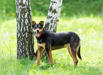 Ruhige Mulya sucht dich ...