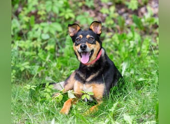 Ruhige Mulya sucht dich ...