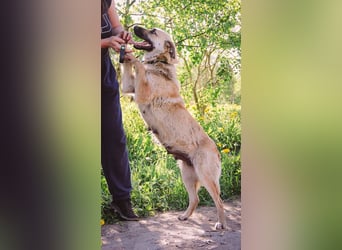 Wunderschöne Linda sucht