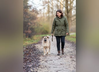 Iriska sucht liebe Menschen