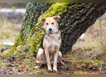 Asya ist schüchtern aber mit viel liebe...