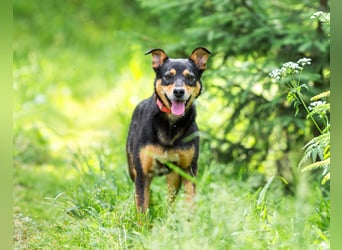 Ruhige Mulya sucht dich ...