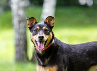 Ruhige Mulya sucht dich ...