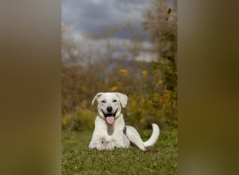 Lilit Taub durch die Welt , aber mit viel Liebe