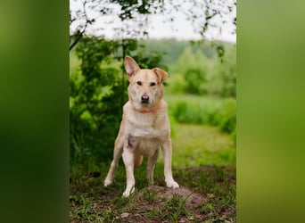 Ausgewogene Mona sucht Familie