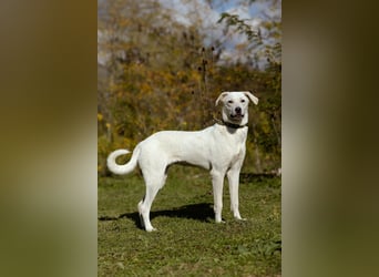 Lilit Taub durch die Welt , aber mit viel Liebe