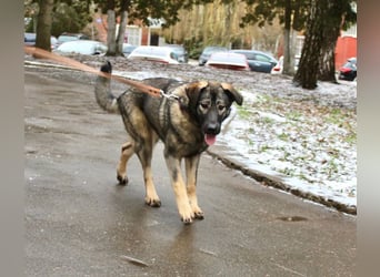 Selbstbewusste Tosya sucht aktive Menschen