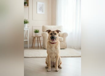 Iriska sucht liebe Menschen