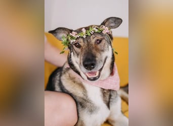 Wundervolle Dana sucht Endstelle