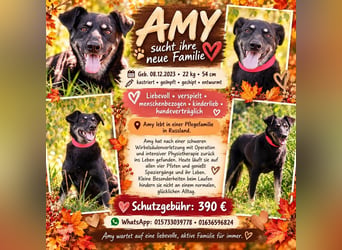 Amy sucht jetzt ihre neue Familie