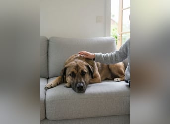 Aksi möchte ihre ganze Liebe zeigen