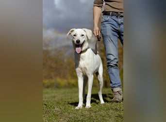 Lilit Taub durch die Welt , aber mit viel Liebe