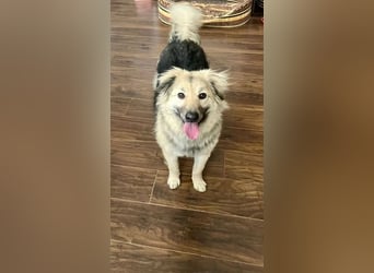 Aktiv und fröhlich durchs Leben mit Lora