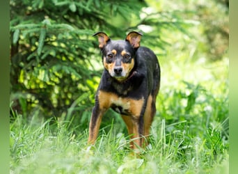 Ruhige Mulya sucht dich ...