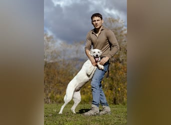 Lilit Taub durch die Welt , aber mit viel Liebe