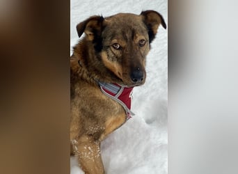 Marquise sucht liebevolle Menschen