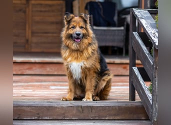 Bekommt Rakhat eine 2.Chance?!