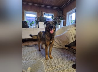 Ein Herz für Vasilisa geben Sie ihr eine Chance auf ein glückliches Leben!