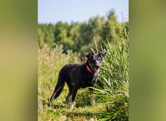 Amy sucht jetzt ihre neue Familie