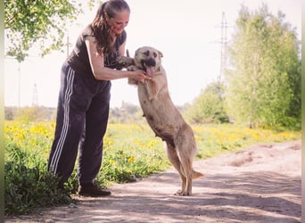Wunderschöne Linda sucht