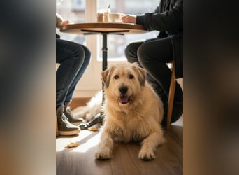 Willie sucht liebevolle menschen