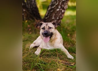 Iriska sucht liebe Menschen