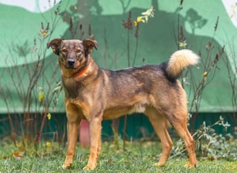 Marquise sucht liebevolle Menschen