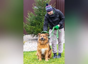 Bekommt Rakhat eine 2.Chance?!