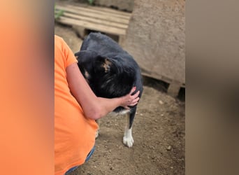 Benni - wartet schon sooo lange