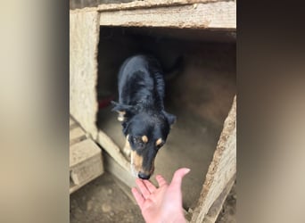 Benni - wartet schon sooo lange
