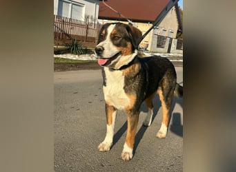 Nova, geboren 03.2025, 58cm sucht ihre Familie