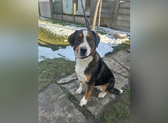 Nova, geboren 03.2025, 58cm sucht ihre Familie