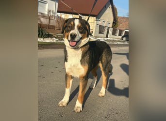 Nova, geboren 03.2025, 58cm sucht ihre Familie