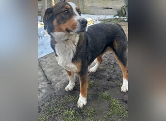 Nova, geboren 03.2025, 58cm sucht ihre Familie