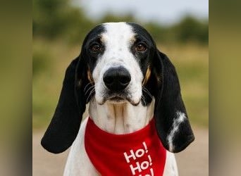 Ariel - aktiv, liebevoll, verschmust