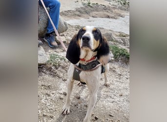 CHARLES - so lieb und ruhig