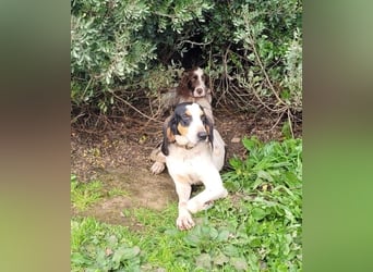 CHARLES - so lieb und nett