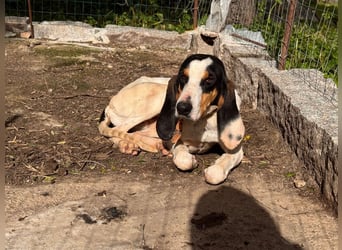 CHARLES - so lieb und nett