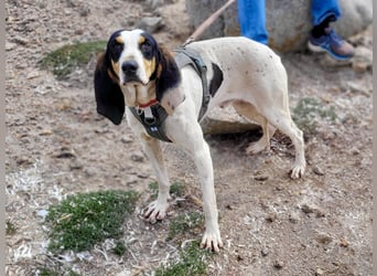 CHARLES - so lieb und ruhig