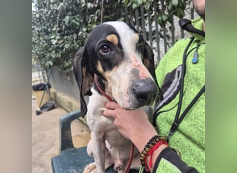 Mark - freundlicher, ausgeglichener Bub