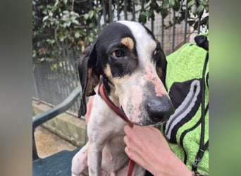 Mark - freundlicher, ausgeglichener Bub