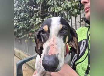 Mark - freundlicher, ausgeglichener Bub