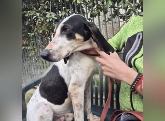 Mark - freundlicher, ausgeglichener Bub