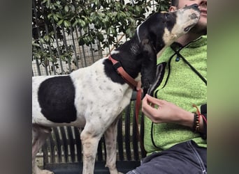 Mark - freundlicher, ausgeglichener Bub